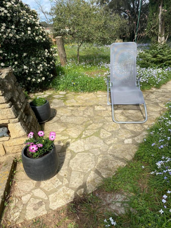 Studio Havre De Paix Au Pont Du Gard Piscine Et Jacuzzi Chez Valerie Payre แวร์ ปองต์ ดู การ์ ภายนอก รูปภาพ